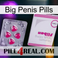 Big Penis Pills 32